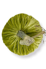 Plush Pumpkin Velvet Pumpkin 8" Chartreuse