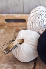 Plush Pumpkin Velvet Pumpkin 6" Snow