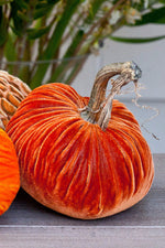 Plush Pumpkin Velvet Pumpkin 6" Apricot