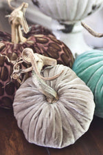 Plush Pumpkin Velvet Pumpkin 6" Putty