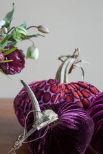 Plush Pumpkin Velvet Pumpkin 10" Wildberry Dot