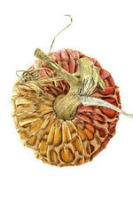 Plush Pumpkin Velvet Pumpkin 8" Pink Gold Dot