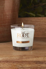 Root Candle Small Veriglass Japanese Cedarwood