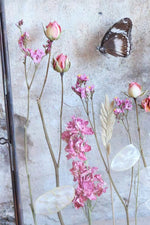 BUNCH RHODANTHE NATURAL PINK