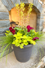 Chalet Signature | Outdoor | Spring Modern