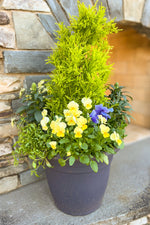 Chalet Signature | Outdoor | Spring Classic & Fresh