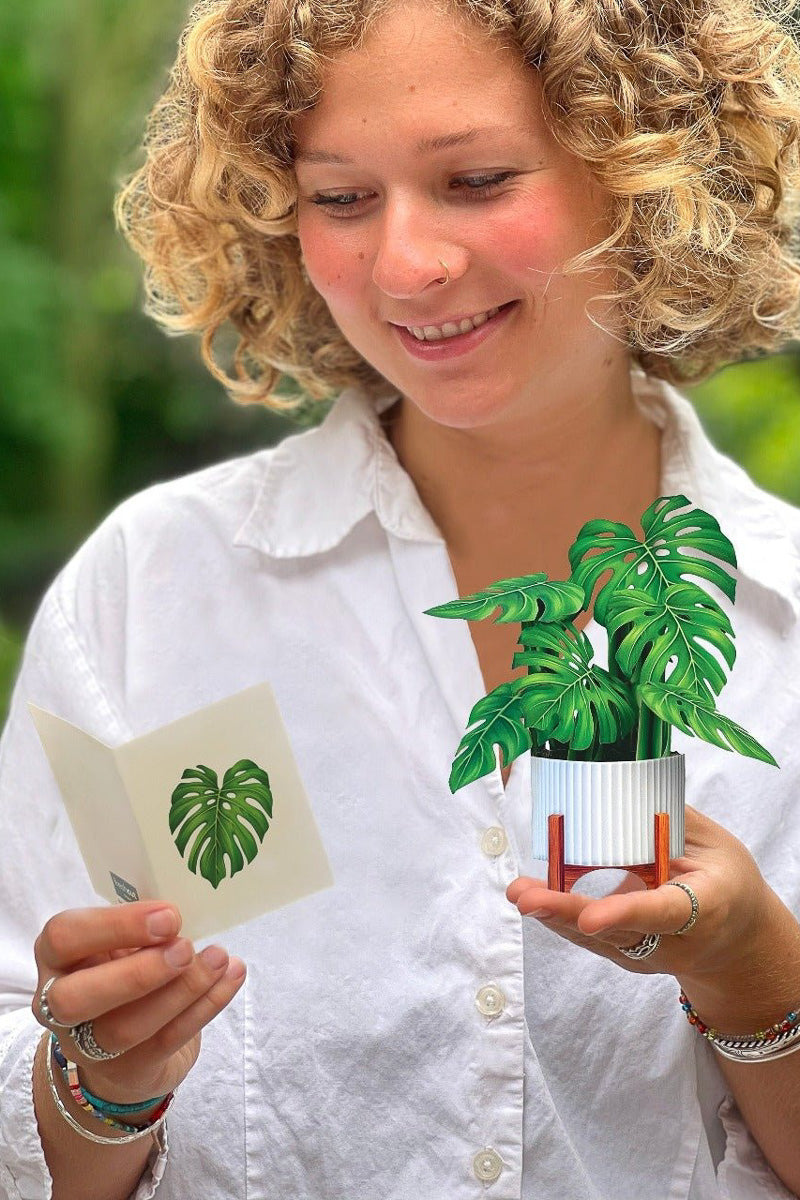 FreshCut Paper Mini Monstera – Chalet