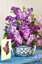 FreshCut Paper Garden Lilacs
