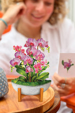 FreshCut Paper Mini Orchid Oasis