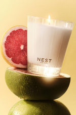 Nest Classic Candle Grapefruit