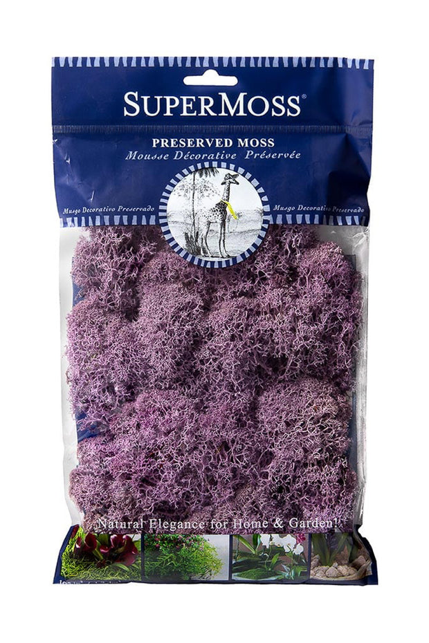 SuperMoss Reindeer Moss Lavender 2 oz