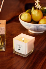 Acqua Dell'Elba Candle 180g Limonaia di Sant'Andrea