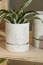 Nisha Pot with Saucer 5"x 5.75"
