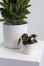 Kendall Pot 3.25"x 2.75"