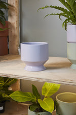 Pasadena Pot 6.25"x 6" Purple