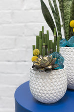 Ginny Pot 4.75"x 4.5"