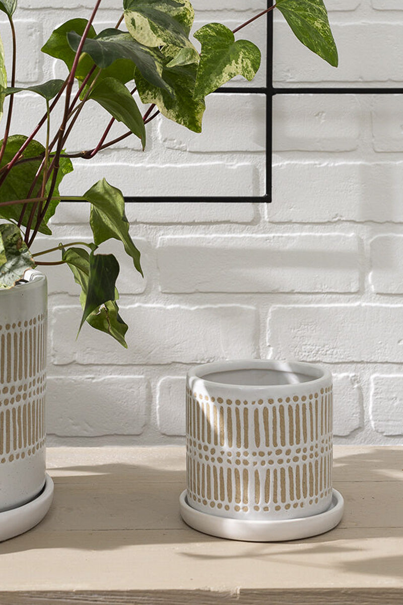 plant pot and saucer Linden Pot with Saucer 4"x 4" – Chalet