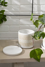 Linden Pot with Saucer 5.25"x 5.25"