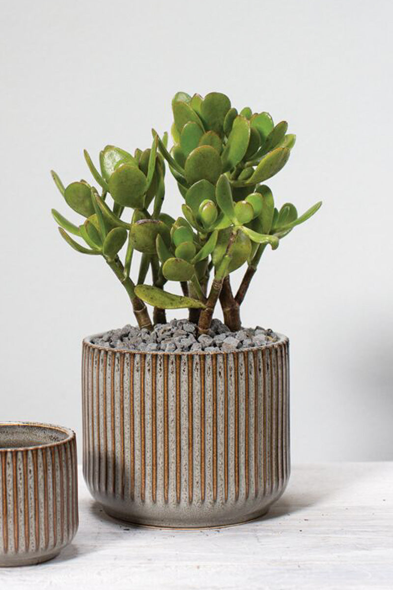 habitat plant pots Habitat Pot 5.25"x4.25" Grey