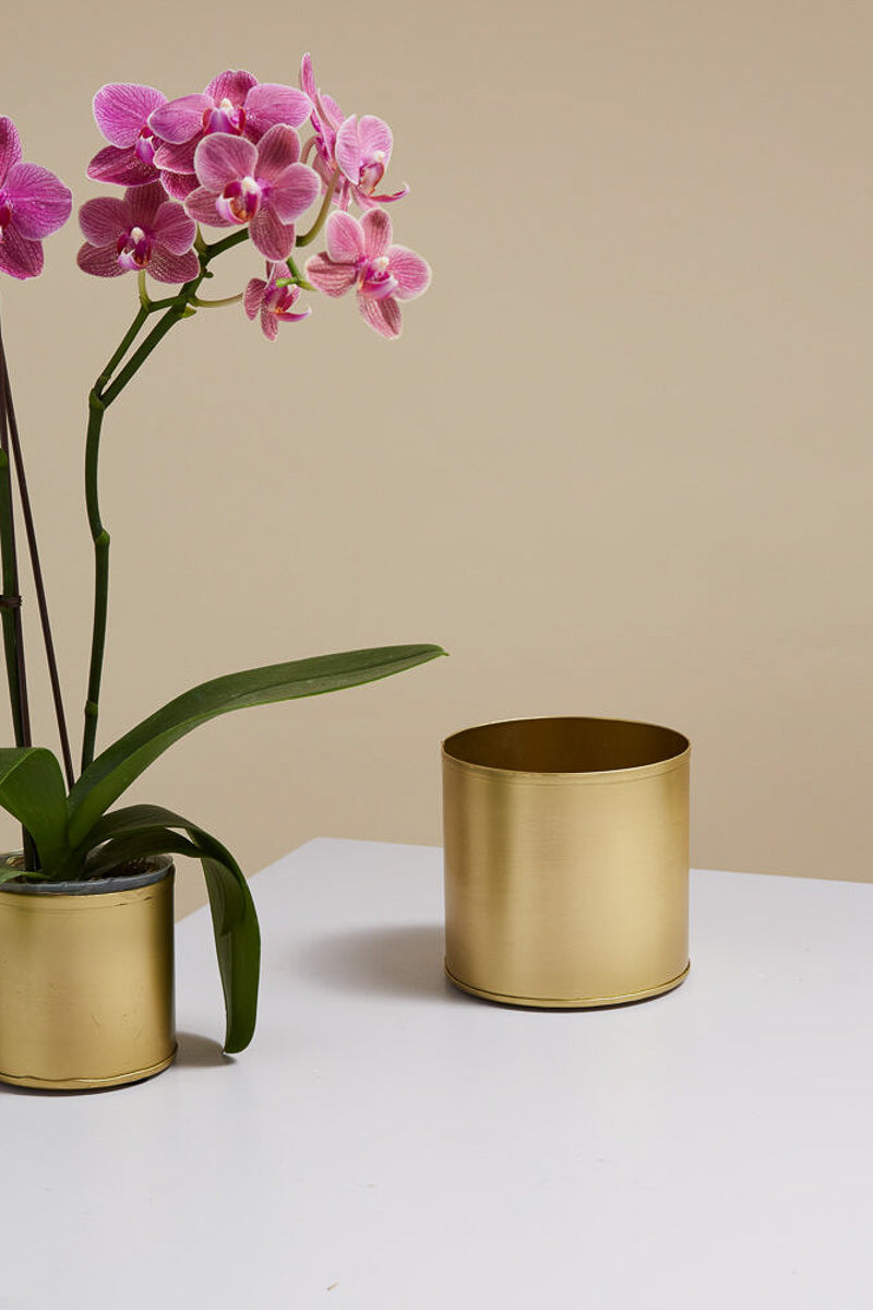 gold pot for plant Bryant Pot 4.25"x 4" Gold – Chalet