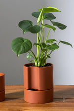 Jett Pot with Saucer 6"x 7" Terracotta