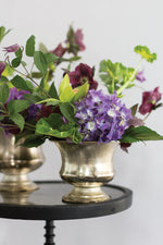 Sydney Urn 6.25"x 5"