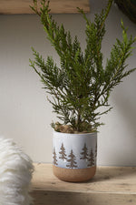 Forrest Pot 5"x 5.5"