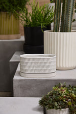 Zelle Planter with Saucer 8"X4"X4.5"