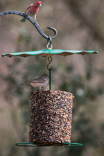 Mr. Bird Rain Guard 9.5"