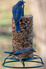 Mr. Bird Bugs, Nuts & Fruit Small Cylinder