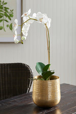 Napa Emberlynn Cachepot Small Gold