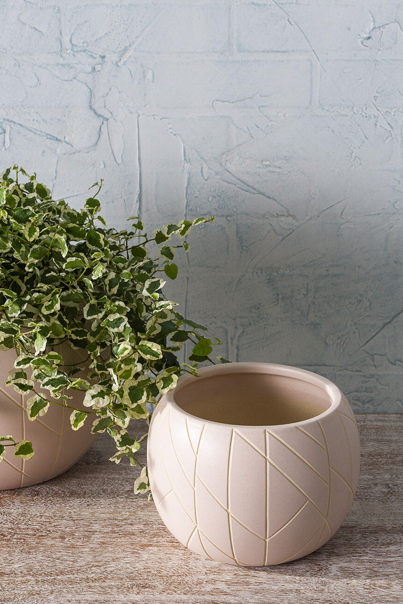 pale pink plant pot Joyful Pot 6.5"x 5.5" – Chalet