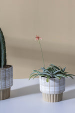 Cable Pot 5.25"x 5.25"