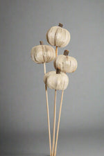 Vyn Dried Pumpkins White (4 Stem)