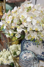 Faux Phalaenopsis Spray 41" White
