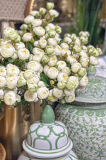 Faux Mini Ranunculus Spray 22" White
