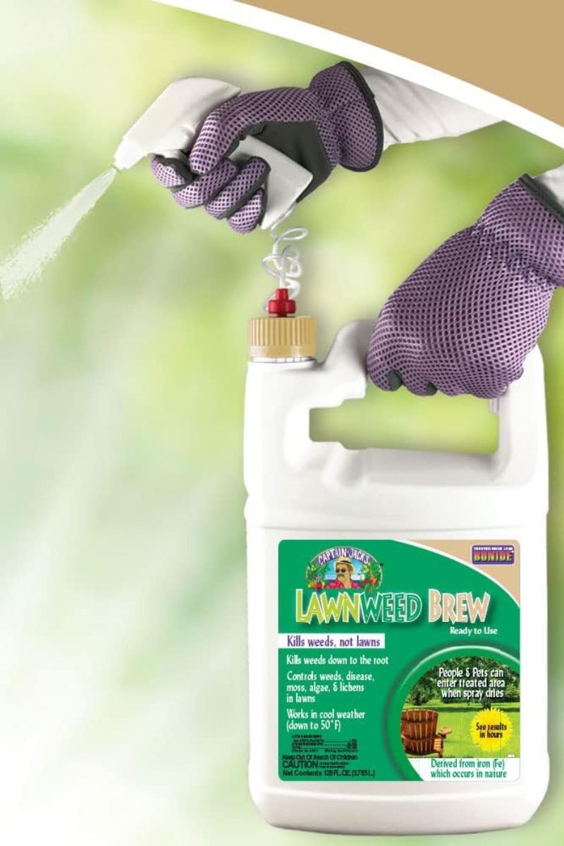 bone dry herbicide Bonide Captain Jack Lawnweed Brew, Ready to Use, 1 Gallon