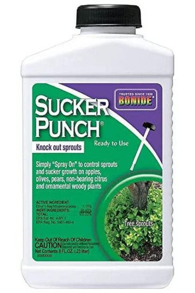 Bonide Sucker Punch 8 oz Ready-to-Use Brush-Top