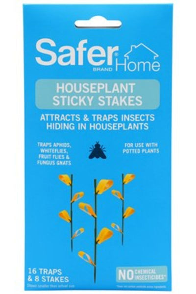 Houseplant Sticky Stakes 8 pack