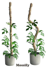 Mossify Bendable Coir Pole 42"