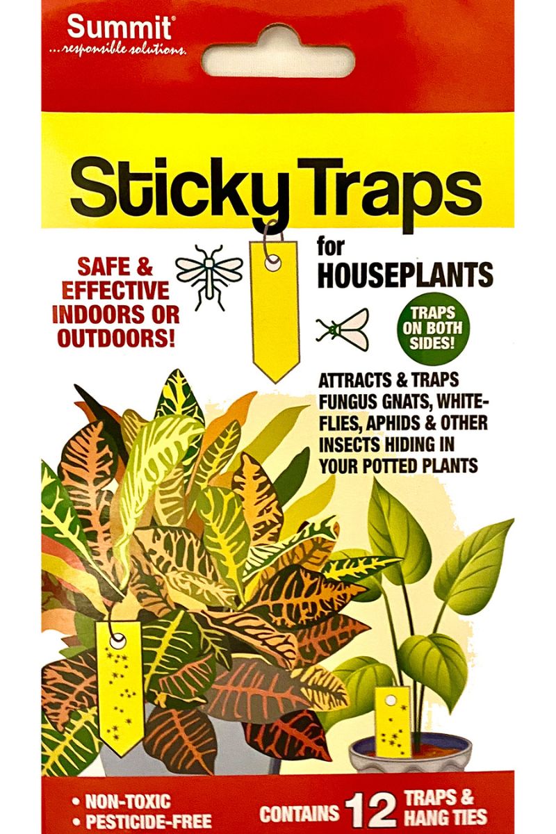 sticky fly traps for house plants Summit Sticky Insect Traps
