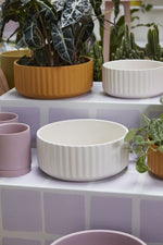 Beam Bowl 10"x4" Off White