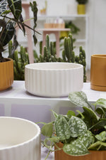 Bowl Beam 8"X3.5" Off-White
