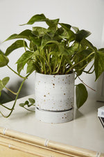 La Jolla Pot with Saucer 5"x 6"