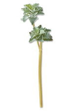 SILK STEM 21" GRN ECHEVERIA