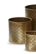 PLANTER LATTICE ANT BRASS MD