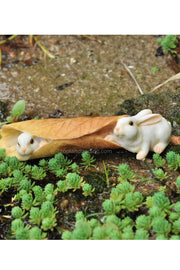 Rabbits Playing with Leaf