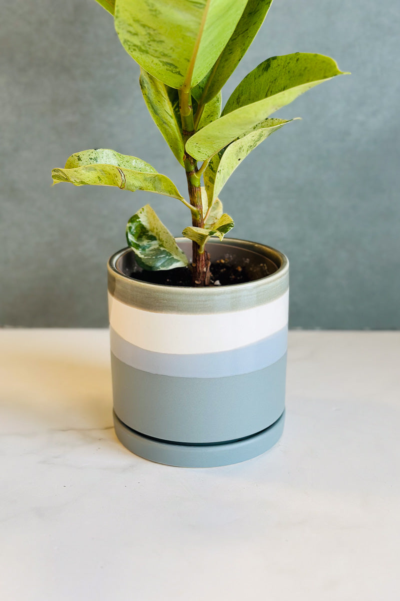 indoor plant pots wilko POT VALKO CYLINDER PLANTER 5" – Chalet