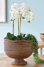 Burma Rattan Footed Cachepot