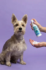 Earthbath Foaming Facial Wash Hypoallergenic w/Blueberry & Blackberry 8 oz